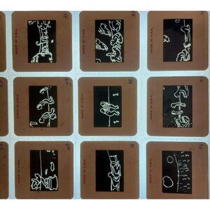 1980s Saul Steinberg Figures 48 Pcs 35mm Slides Satirical Art Surrealism E50N
